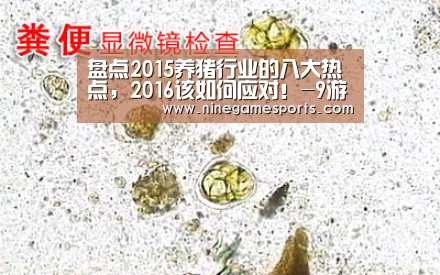 九游官网